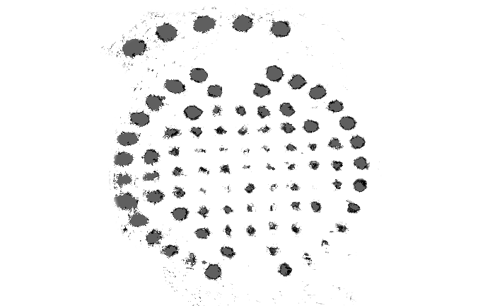 ttps://lh7-us.googleusercontent.com/QvpuXM6UlvsgFTkjHIXspMKW0FhwYxZgvLH7rACAYCDO0ziL-11YYp9t8eumyj5F3vwXM5_5gXtOtBqbFhKr8ZWszbqaNKD4q1-b-q_bkDmg7QKVwIqdLpxMQfOXuNZvnJcWHVtS9UH9GchirkhR8qM